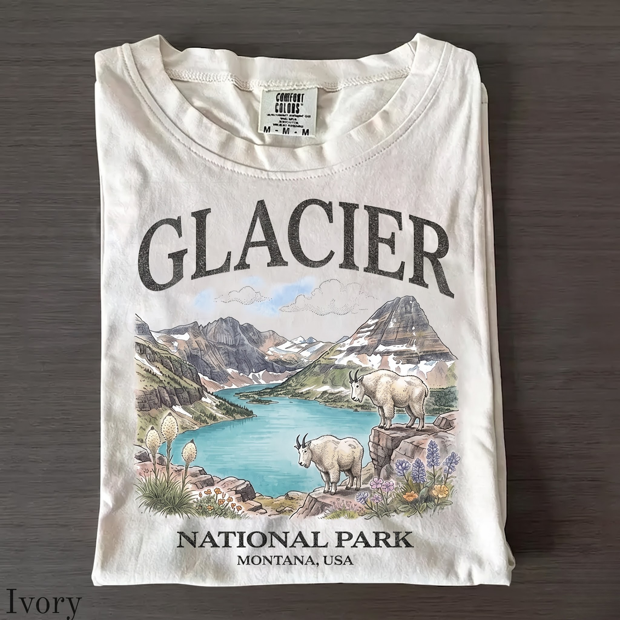 Glacier National Park Vintage 90s Graphic T-Shirt